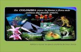biodiversidad de flora y fauna de Colombia