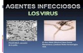 Enfermedades Infecciosas (Enrique, Bernabe, Javier Jose Domingo Y Jose Manuel)