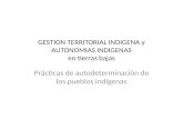 Jorge salgado Gestión territorial y autonomías indígenas en tierras bajas
