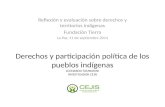 Derechos y participación política de los pueblos indígenas