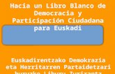 Euskadirentzako Demokrazia eta Herritarren Partaidetzari buruzko Liburu Zurirantz