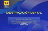 Identificación dental l