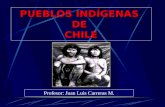 Loa aborígenes chilenos.