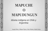 El mapuche