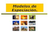 Modelos de especiación