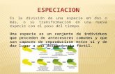 Diapositivas especiacion
