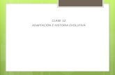 Clase12  electivo adaptacion