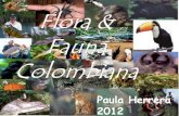 Flora & fauna