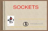 1213 Sockets [1] Introducció