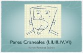 Semiología Pares Craneales (I,II,III,IV.VI)