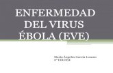(2014-10-22) VIRUS EBOLA(PPT)