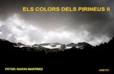 Els Colors Dels Pirineus Ii