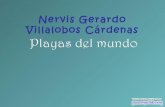 Nervis Gerardo Villalobos Cárdenas - Las playas más hermosas