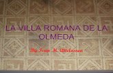 La Villa Romana de la Olmeda