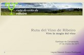 Ruta del Vino del Ribeiro