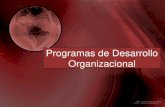 Programas de desarrollo organizacional