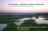 Ecosistemas Vegetales Acuaticos Y Palustres