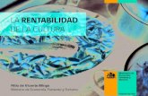 Seminario Cultura & Economía 2013: Presentación Ministro de Economía Félix De Vicente