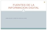 Fuentes de la informacion digital