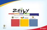 Zeiky y sus Servicios 2009