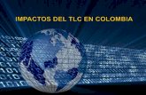 Impactos del tlc en colombia