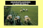 Geografia agraria