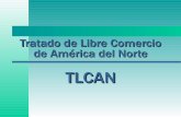 Presentacion Economia Tlc -MEX-EUA