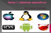 Tema  1 sistemas operativos