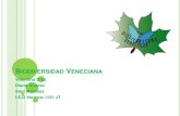 Biodiversidad veneciana, Cuidemos el medio ambiente