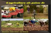 TREBALL SOBRE L'AGRICULTURA EN PAISSOS DE L'EBOLA