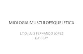 Miologia musculoesqueletica
