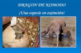 Información sobre el Dragon De Komodo