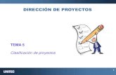 Clasificación de proyectos(1)