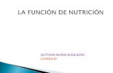 La función de nutrición(nuria soguero)