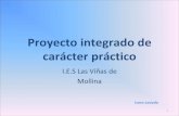 Proyecto Integrado De Carácter Práctico (2)