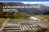 La Acuicultura en el Perú 2012