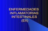15enf inf-int-1216203665881339-9