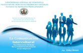 Comunicacion intercultural