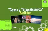 Gases y Termodinámica