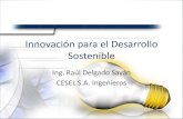 Innovación para el desarrollo. Presentación del Ingeniero Raul Delgado Presidente de CESER Ingenieros