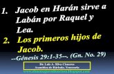 CONF. JACOB EN HARAN SIRVE A LABAN POR RAQUEL Y LEA. GÉNESIS 29:1-35. (Gn. No. 29)