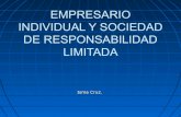 Empresario individual y sociedad de responsabilidad limitada (1)