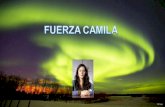 Modernizacion del estado, Fuerza Camila