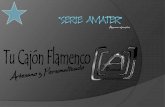 Serie Amater de los Cajones Flamencos Abueno Percusión en pdf