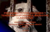 PROGRAMA ESTERILIZACIONES Y TENENCIA RESPONSABLE MASCOTAS LLANQUIHUE