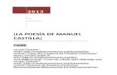 Análisis obra poética de Manuel Castilla