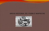 Breve historia del pueblo mapuche