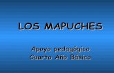 Los Mapuches 4