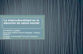Interculturalidad y atencion en salud metal y psquiatria