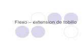 Flexo – extension de tobillo